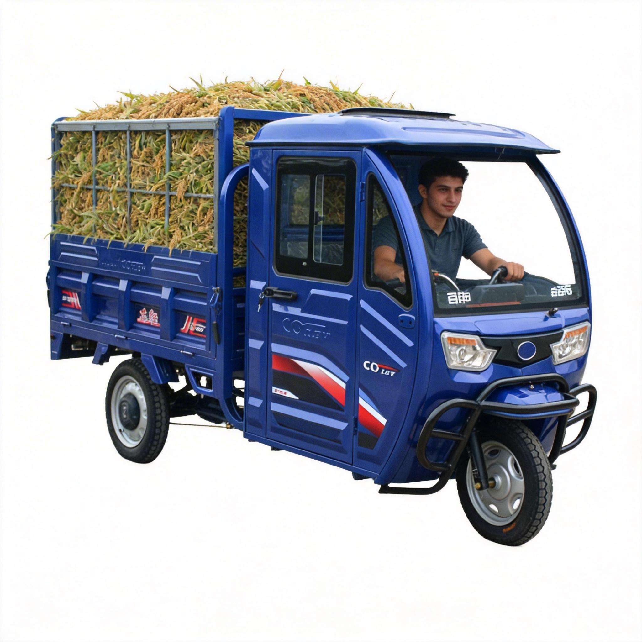 Kendaraan Kargo Trike Listrik, - Home Improvement Fence ulasan dan harga
